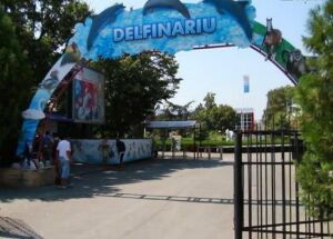 Delfinariu Constanta, www.delfinariu.ro