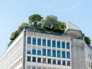 Business Research: Piaţa globală a materialelor de construcţii ecologice, în creştere solidă