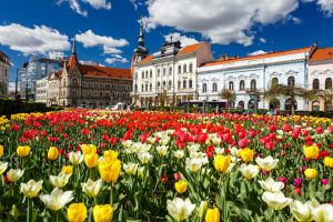 Sursa fotografiilor: facebook / Municipiul Cluj-Napoca