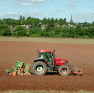 Terenurile noastre agricole, de 2-5 ori mai ieftine decât în restul Europei