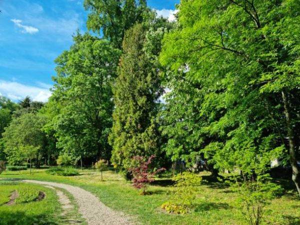 CGMB a adoptat un proiect privind asigurarea continuităţii traseului 'Promenada Verde'